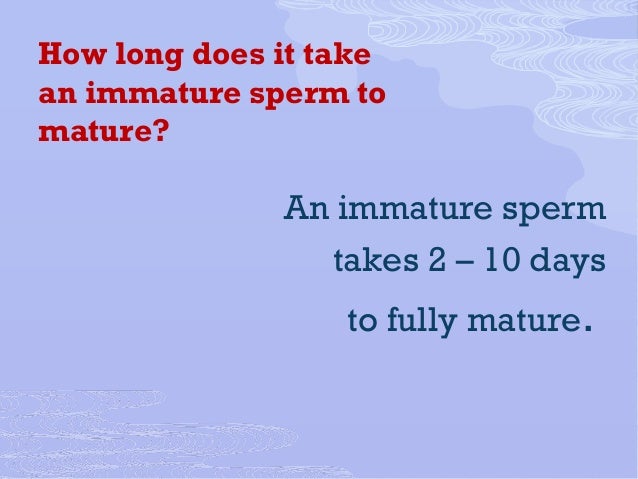 Glory hole address How long sperm take to mature